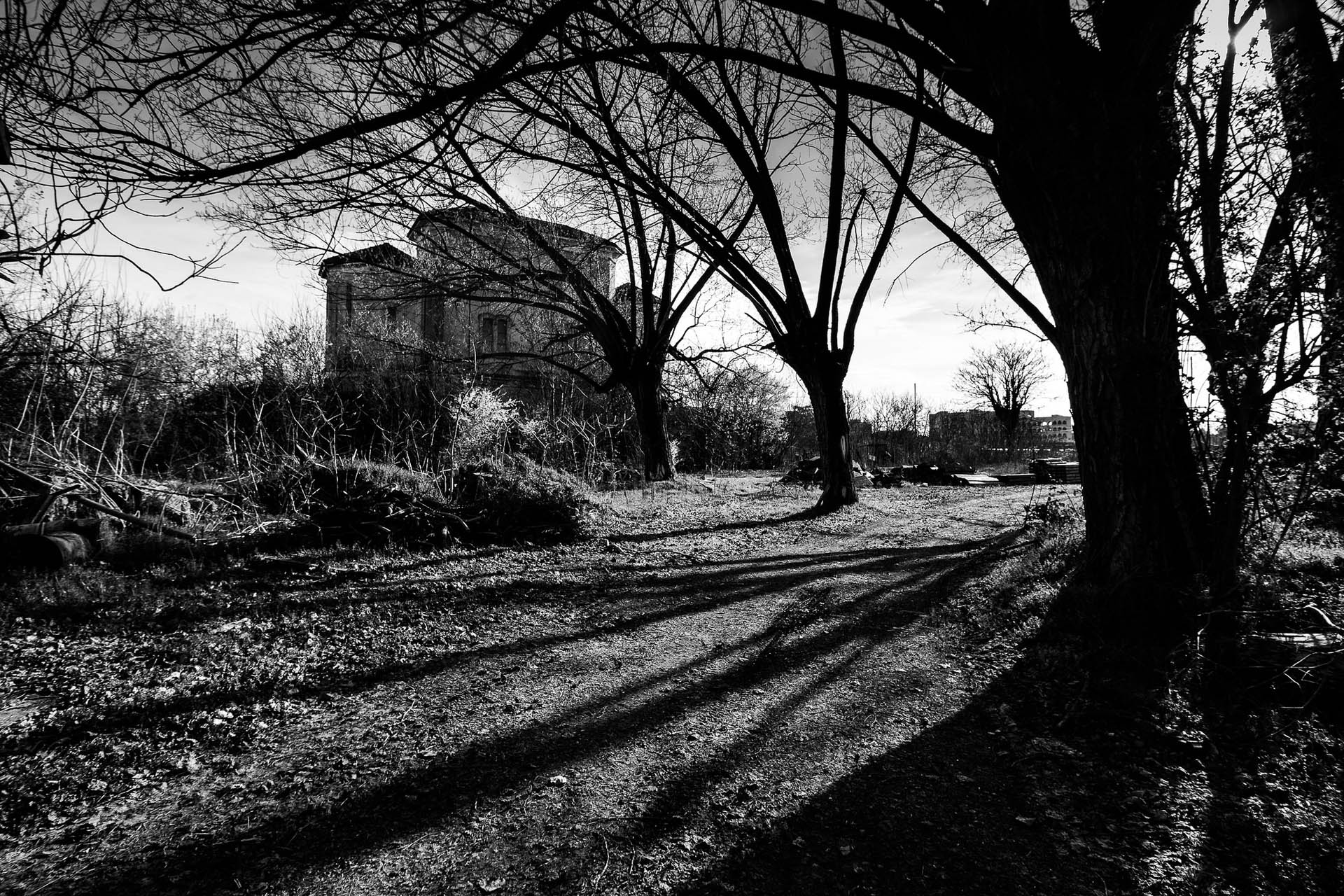 difficoltà relazionali, sofferenza sentimentale, famiglia, lavoro, ansia, panico, fobie, dipendenze, disturbi alimentari, sintomi psicosomatici